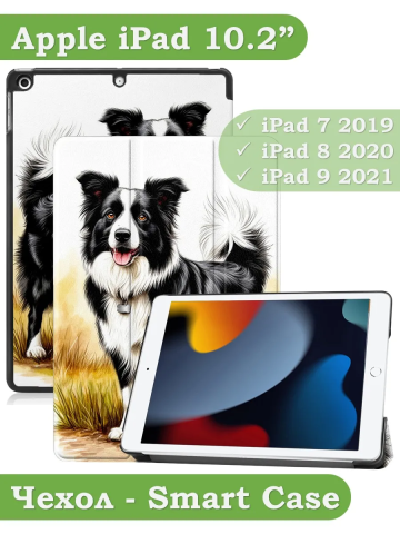 Чехол для iPad 10.2, Бордер-колли Чехол для iPad 10.2, Бордер-колли